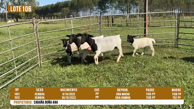 Lote LOTE 106