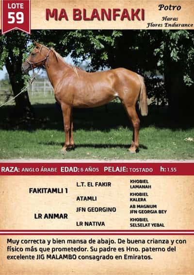 Lote MA BLANFAKI