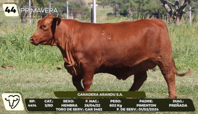 Lote LOTE 44- CAMPO