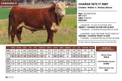 Lote CHAÑAR 3573 17 3987  (GRUPO 1)