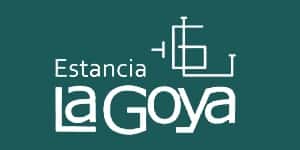 Lote VAQUILLONAS PARICION FEBRERO/MARZO M.A.S. "LA GOYA"