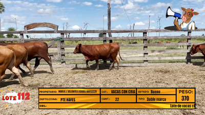 Lote LOTE 112