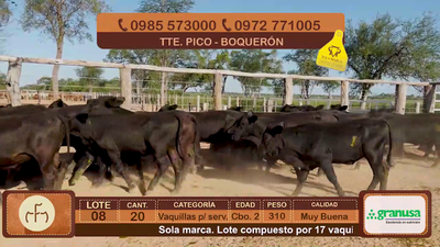 Lote Lote 8