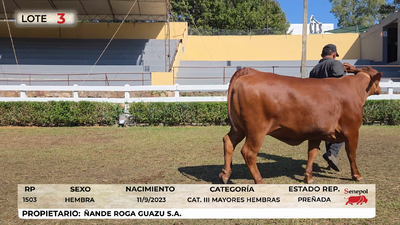 Lote LOTE 3