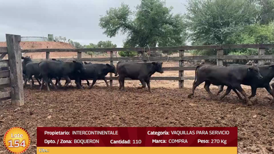 Lote LOTE  154