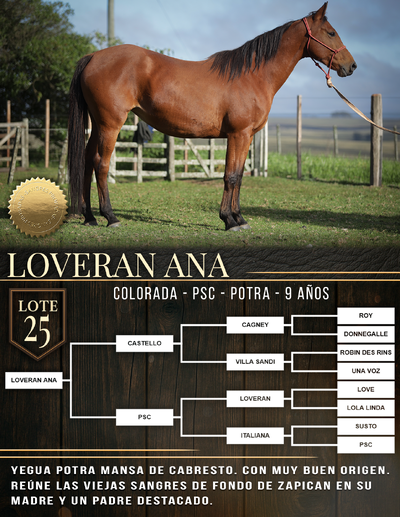  LOVERAN ANA