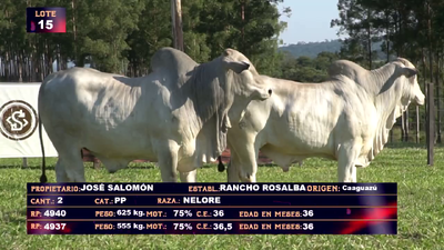 Lote JOSE SALOMON- LOTE 15