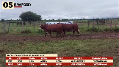 Lote LOTE 5