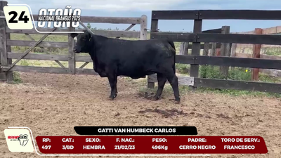 Lote LOTE 24