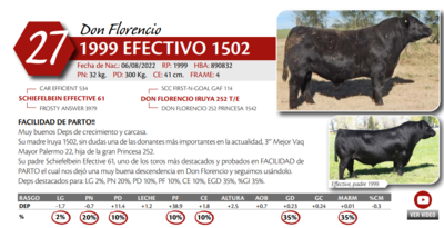 Lote MACHO PP