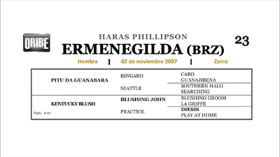 Lote ERMENEGILDA