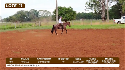 Imagen LOTE 11- CAMPO