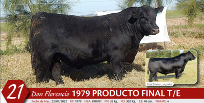 Lote MACHO PP