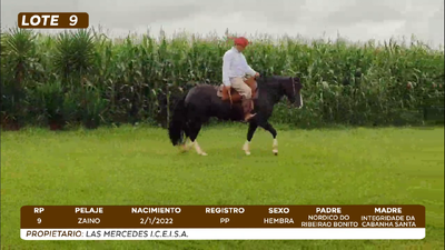 Lote LOTE 9- BOZAL