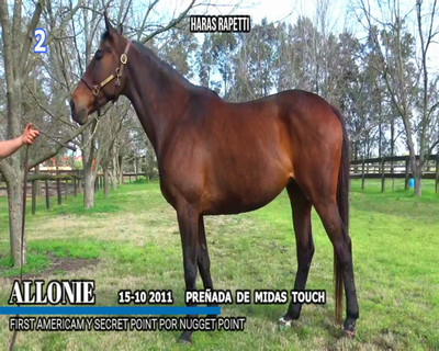Lote ALLONIE