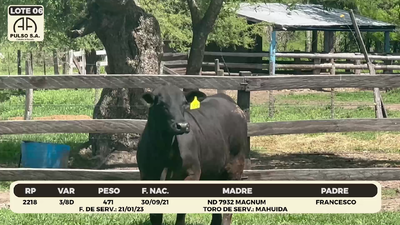 Lote LOTE 6