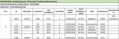 Lote Lote 9