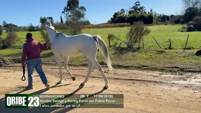 Lote Lote 23