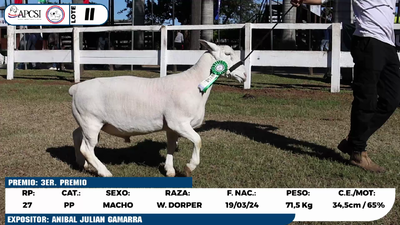 Lote LOTE 11