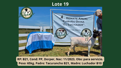 Lote PP