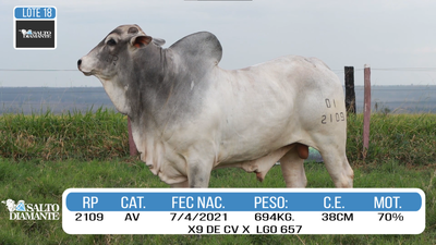 Lote LOTE 18