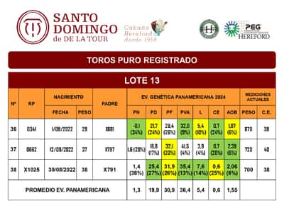 Lote TOROS PR (LOTES) - ( Incluye PP )