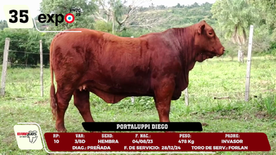 Lote LOTE 35
