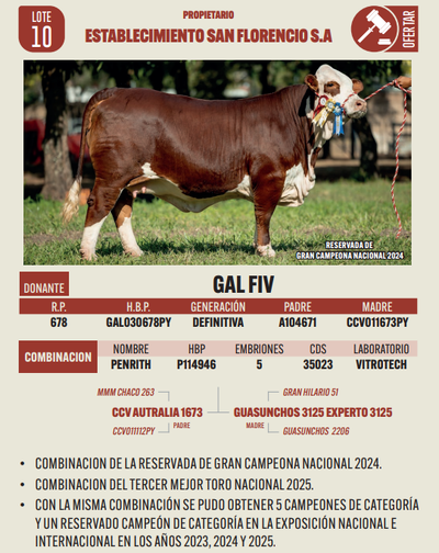 Lote LOTE 10