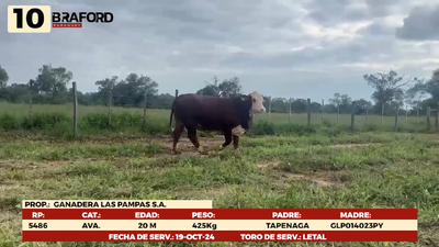 Lote LOTE 10
