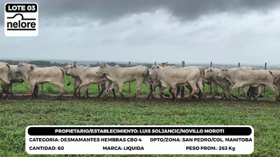 Lote LOTE 3