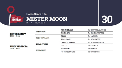 Lote MISTER MOON