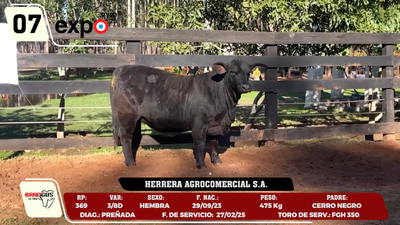 Lote LOTE 7