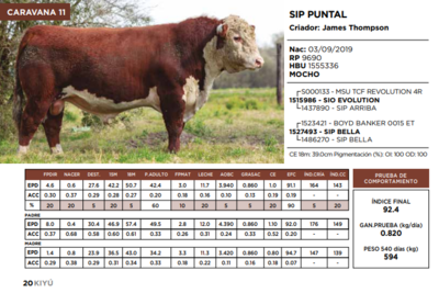 Lote SIP PUNTAL  (GRUPO 1)