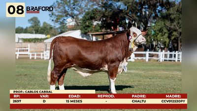 Lote LOTE 8
