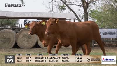Lote Ganadera Santa Cecilia - Lote 9