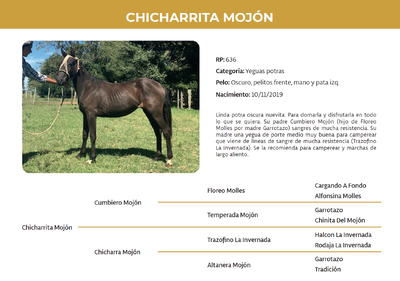Lote Chicharrita Mojón (RP 636)