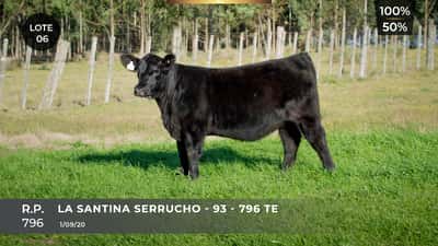 Lote LA SANTINA SERRUCHO - 93 - 796 TE