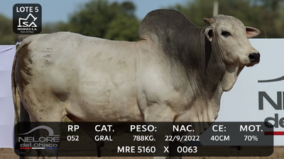 Lote LOTE 5