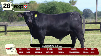 Lote LOTE 26