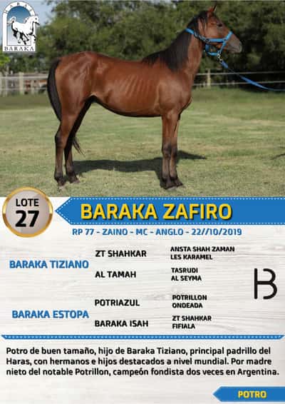 Lote BARAKA ZAFIRO