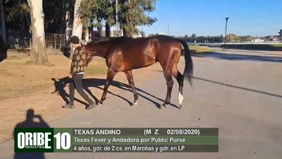 Lote Lote 10