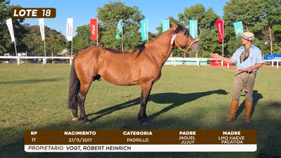 Lote LOTE 18