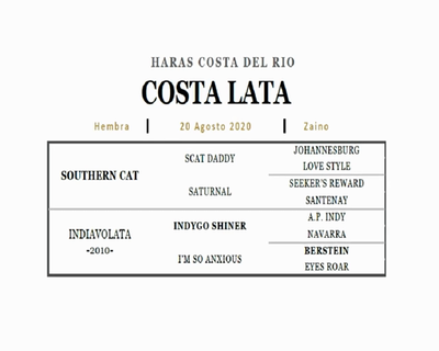 Lote COSTA LATA (SOUTHERN CAT - INDIAVOLATA)