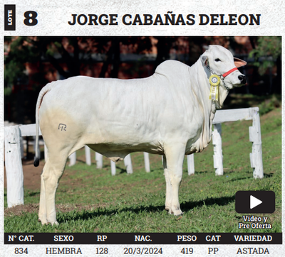 Lote LOTE 8 - BOZAL