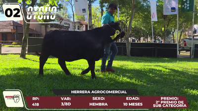 Lote LOTE 2