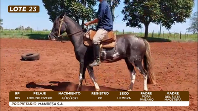 Lote LOTE 23- CAMPO