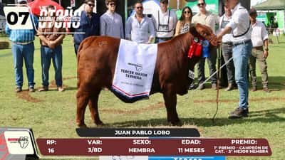 Lote LOTE 7
