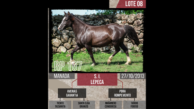 Lote S. I.  LEPECA