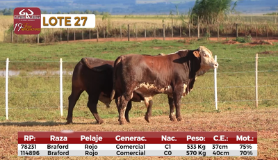 Lote Reproductores de Alborada - Lote 27
