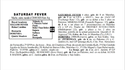 Lote SATURDAY FEVER